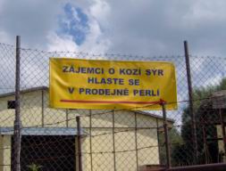 Resize of Talpa 040.jpg